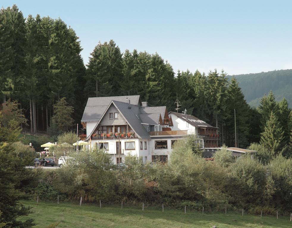 וילינגן Wald Hotel Willingen מראה חיצוני תמונה